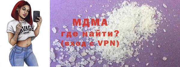гашик Тайга